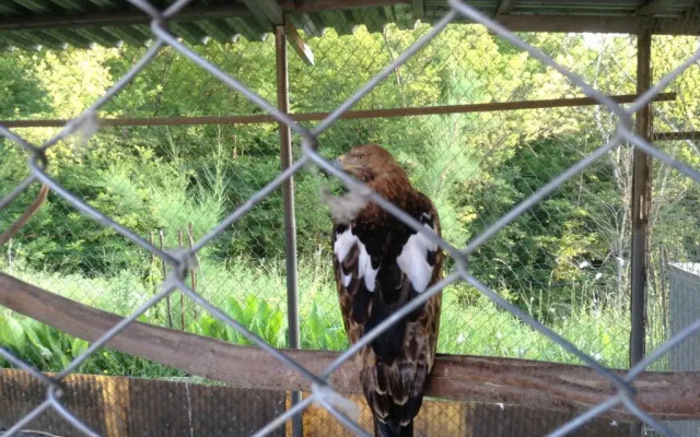 Rajskij Ugolok Guest House