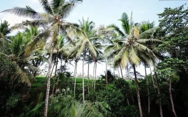 Mulawarman Guest House