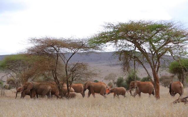 Sarova Taita Hills Game Lodge