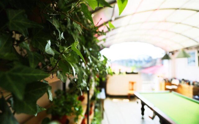 Nanjing Sunflower Youth Hostel