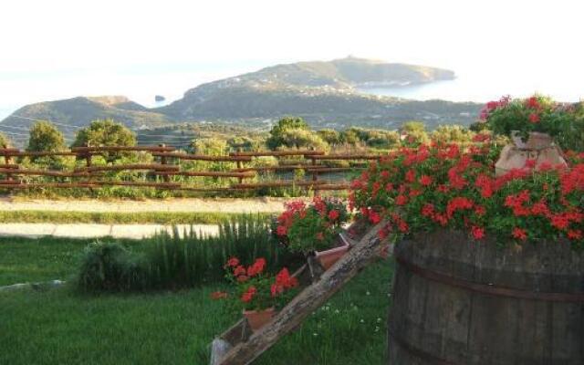 Bed And Breakfast 3 Stars Centola