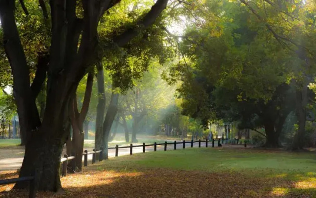 Maccauvlei On Vaal Lodge And Conference Centre