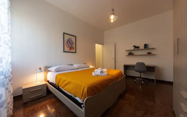 HouSmart Cimabue 1