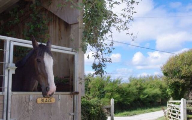 House Tresally Wadebridge - Padstow