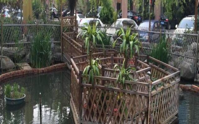 Triumph Palace Hotel