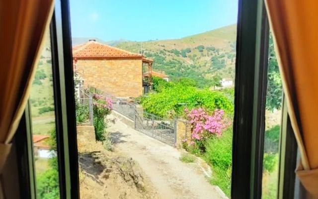 The Hill Village House