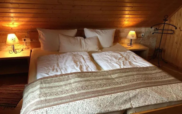 Magnificent Holiday Home in Reinerzau With Sauna