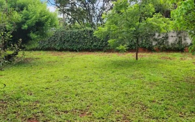 Lovely 3 bed in Mount Pleasant - 2153