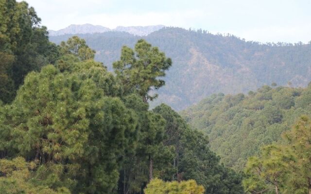 Hotel Ashiana Palampur