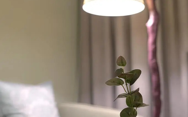 Апартаменты на проспекте Светлановский