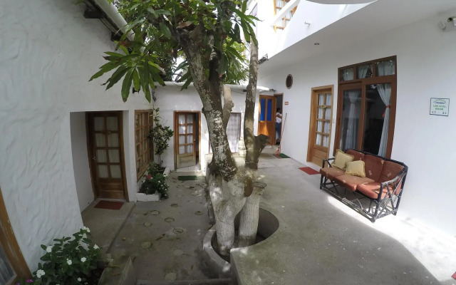Gran Hostal Tintorera