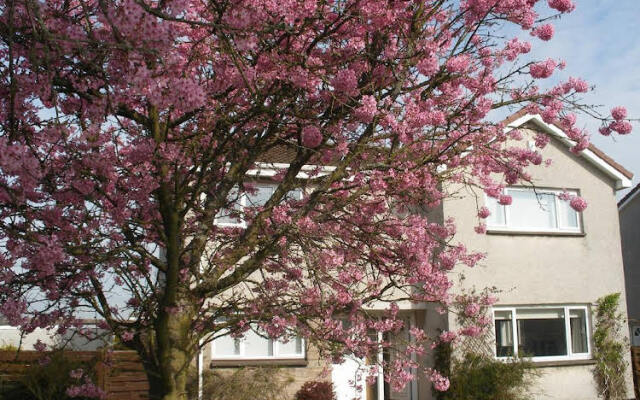 Cherrytrees Bed and Breakfast