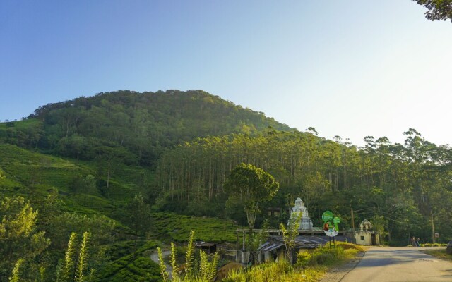 Wild Glamping Knuckles