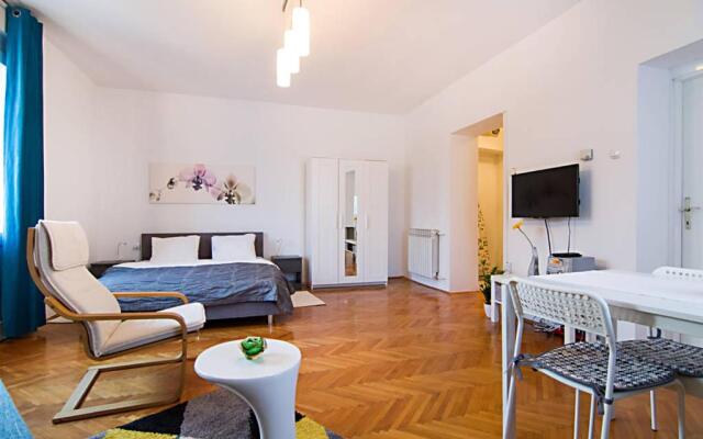 Cosy Studio Apartment 2