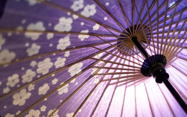 Gion guesthouse YURURI / Vacation STAY 4147