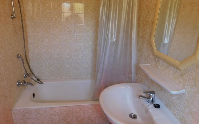 Spacious Villa Ideal Families and Groups