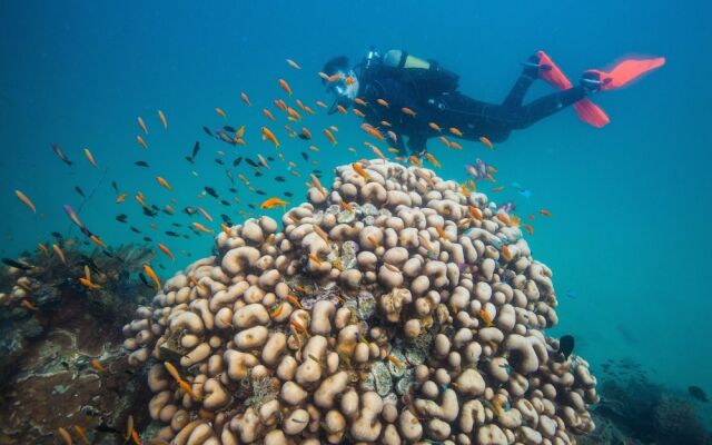 Azura Quilalea Island