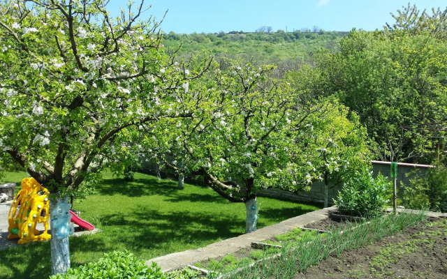 Villa Detelina Balchik