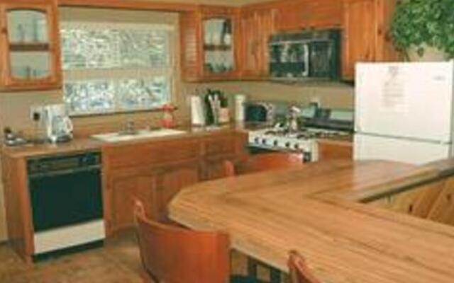 RedAwning Ski Big Bear Chalet