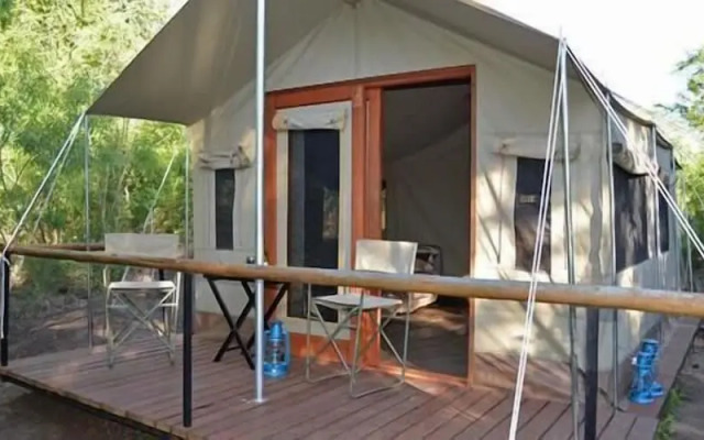 Wild Olive Tree Camp
