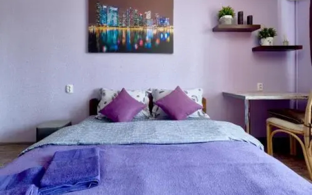 Shovkovychna 48 Apartment
