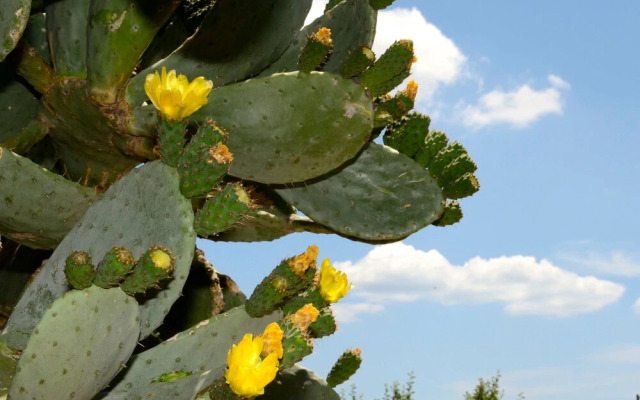 Toccacielo Hotel Village