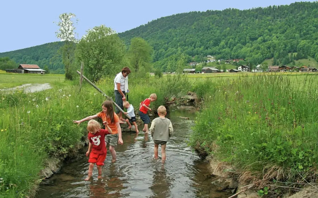 Spacious Apartment in Bizau near City Center