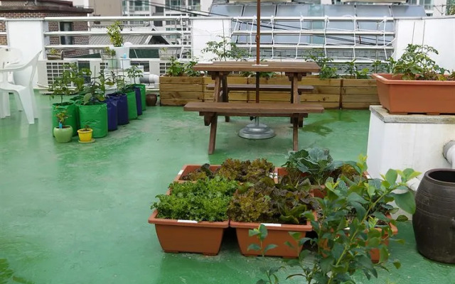 Studio 41st Hostel Seoul