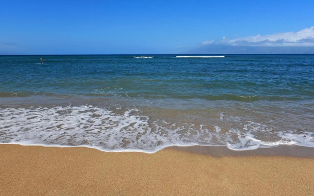 Royal Kahana 104