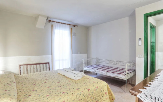 Tulipano Sughera in Sughera