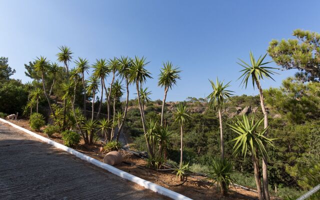 Ferma Hill Apartments