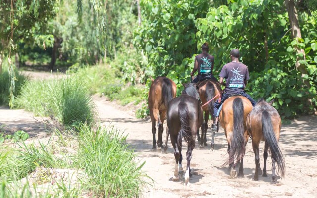 Kande Horse And Guest Farm House