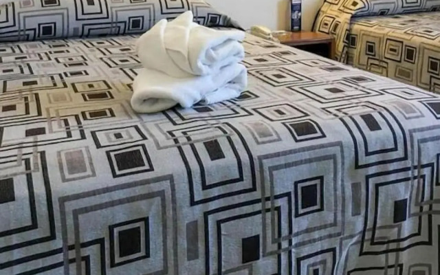 Hotel Terranova Zona Piel