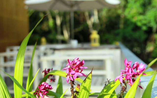 Emis Hotel