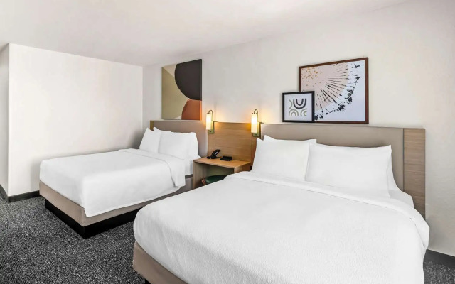 Spark by Hilton Killeen