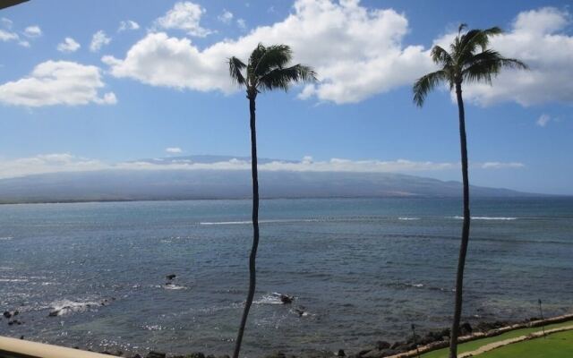 Maalaea Kai 316 1 Bedroom Condo by RedAwning