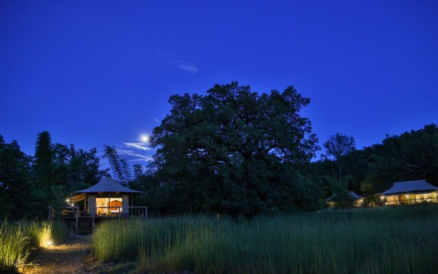 The Untamed Bandhavgarh by TUTC