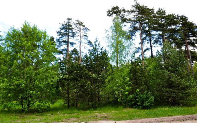 Hostel MännikuJK