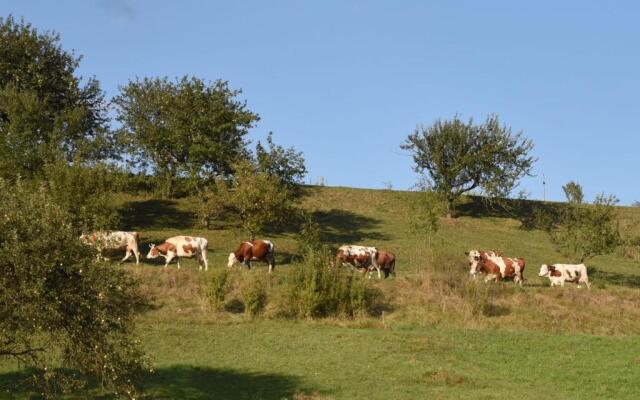 Country Garden - Országkert