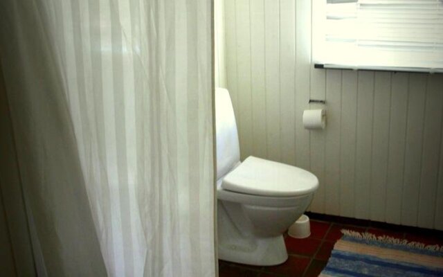 Stutteri Skandi Hest