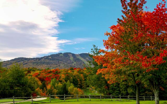 Killington Mountain Lodge, Tapestry Collection by Hilton