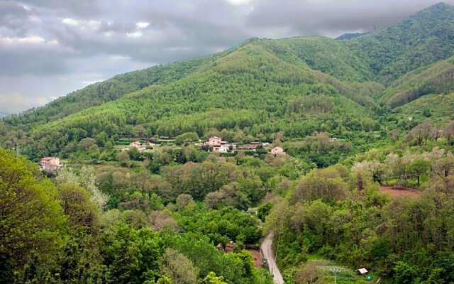 Le Bucoliche