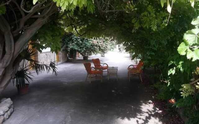 B&B Casa Museo Elio Romano