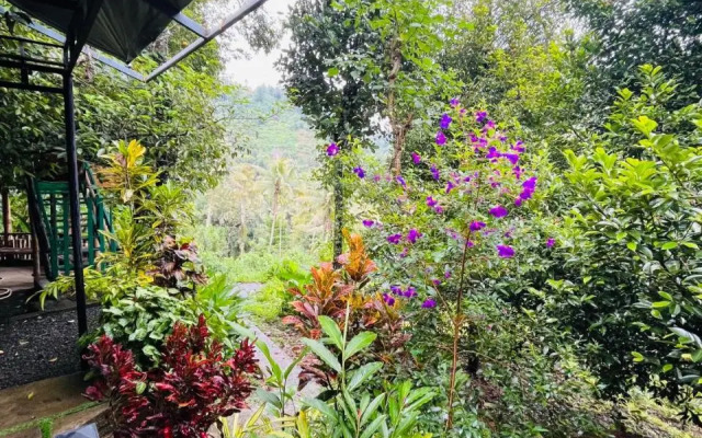 Fab Valley Homestay
