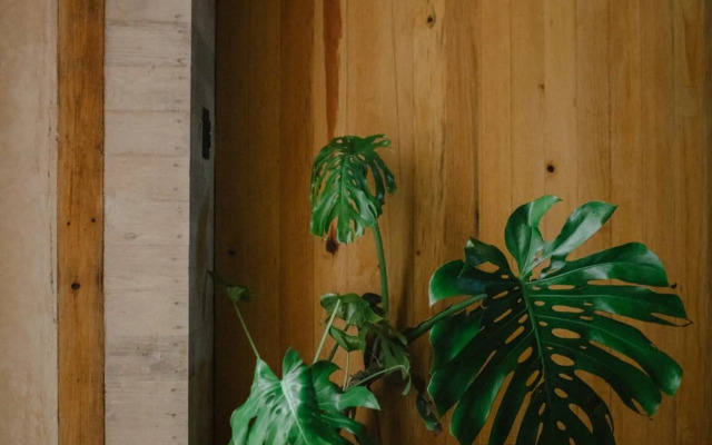 Hotel Escondido Oaxaca , Oaxaca, a Member of Design Hotels