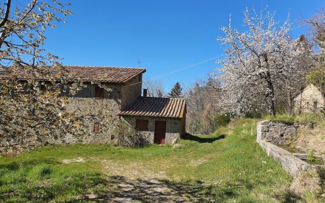 - Agriturismo La Piaggia - Forest View Apartment on the Ground Floor 2 Guests
