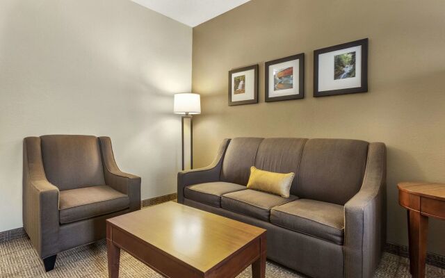 Comfort Inn & Suites Streetsboro - Kent
