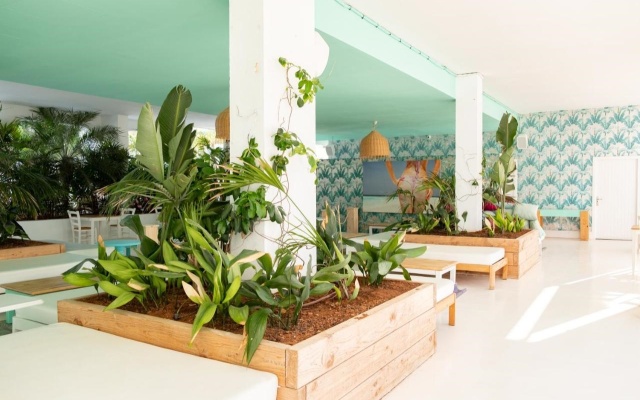 Beach Star Ibiza Hotel