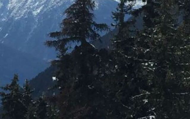 Brunnen 2. Stock Ost