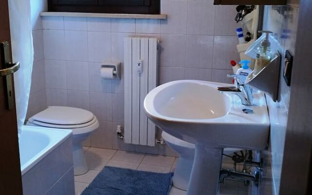 Cozy Flat in the Alps